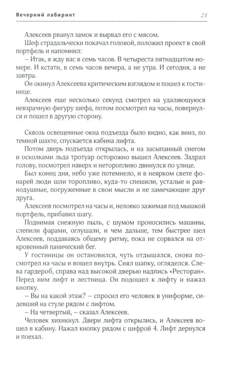 Дополнительное изображение книги «Вечерний лабиринт»