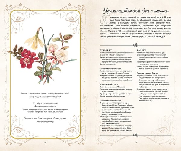Дополнительное изображение книги «Тайный язык цветов»