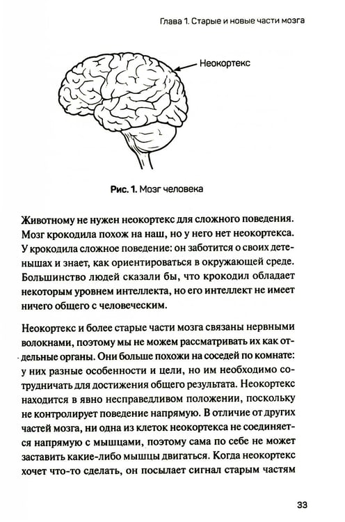Дополнительное изображение книги «1000 мозгов. Новая теория интеллекта»