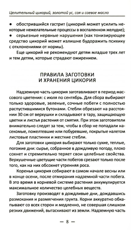 Дополнительное изображение книги «Целительный цикорий, золотой ус, соя и соевое масло для лечения, очищения организма и красоты лица и тела»