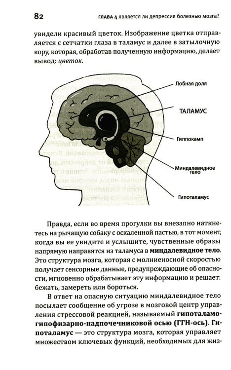 Дополнительное изображение книги «Это депрессия. Полное руководство для тех, кто хочет понять депрессию»