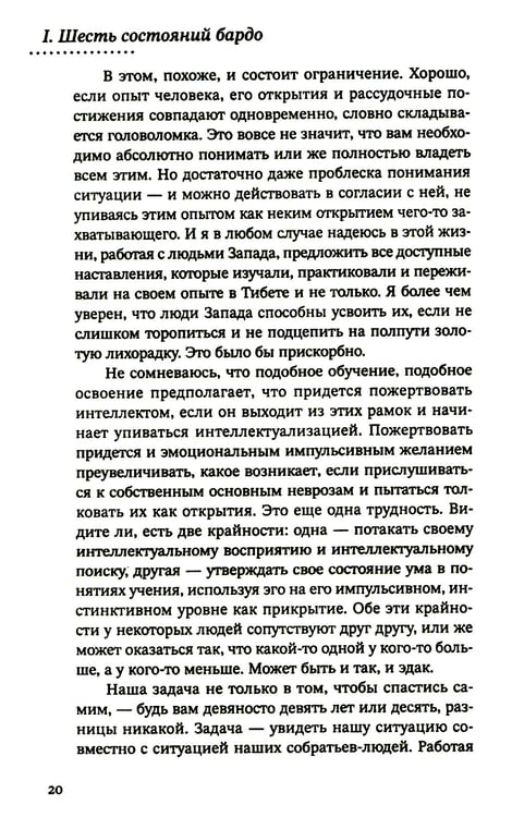 Дополнительное изображение книги «За пределами безумия. Опыт шести бардо»