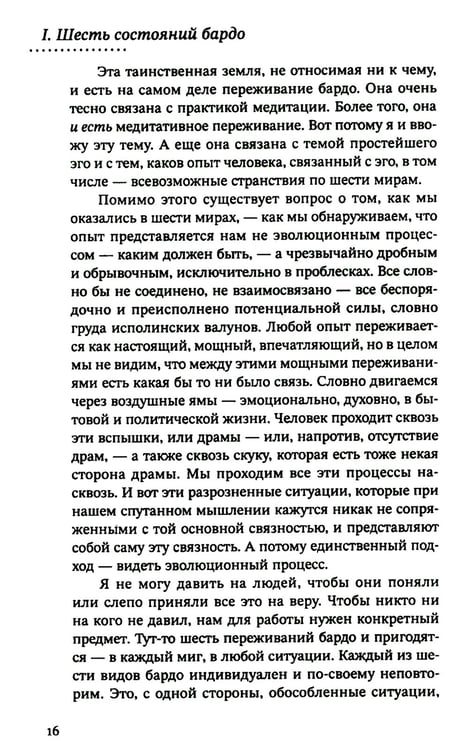 Дополнительное изображение книги «За пределами безумия. Опыт шести бардо»