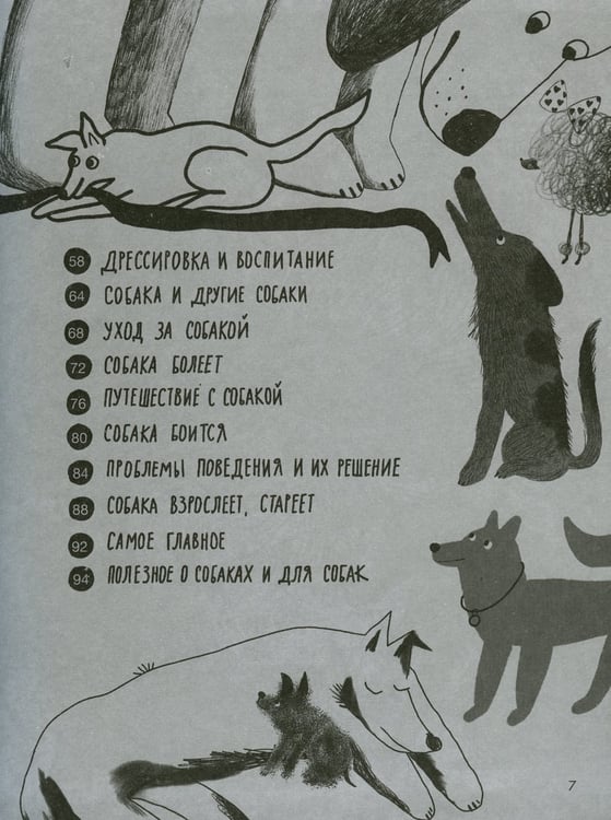 Дополнительное изображение книги «Твоя собака»