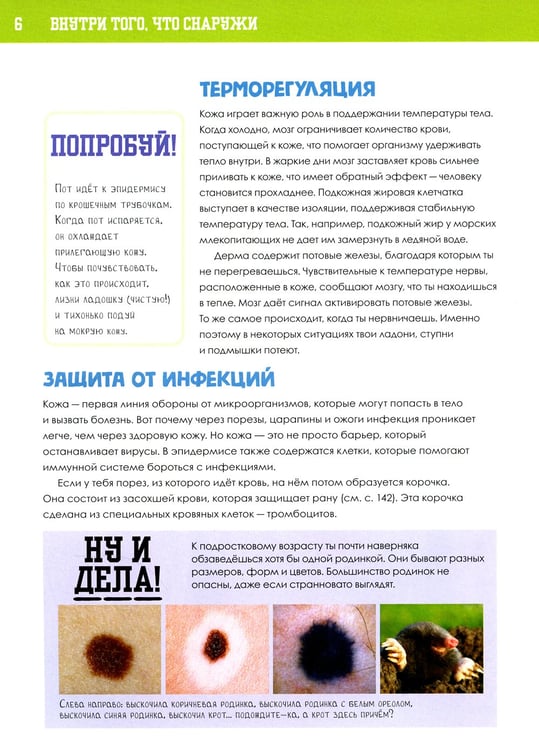 Дополнительное изображение книги «Книга о том, что внутри тебя. Веселые и правдивые истории про болячки, микробы и здоровое тело»