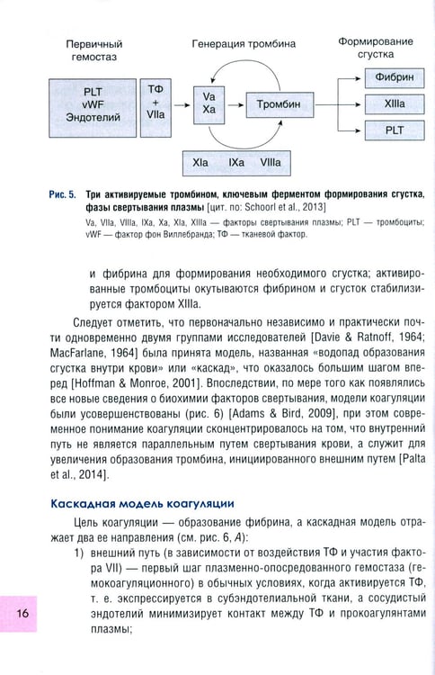 Дополнительное изображение книги «Чрезмерная компенсаторная коагуляция: от кровоточивости до тромбогенности: Учебное пособие»