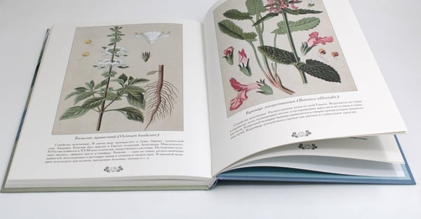 Дополнительное изображение книги «Атлас русских лекарственных растений»