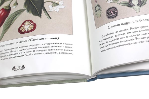 Дополнительное изображение книги «Атлас русских лекарственных растений»