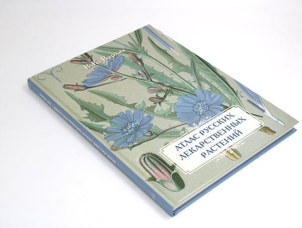 Дополнительное изображение книги «Атлас русских лекарственных растений»