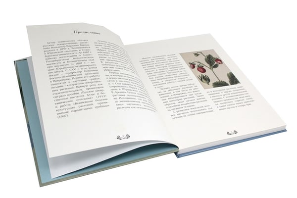 Дополнительное изображение книги «Атлас русских лекарственных растений»
