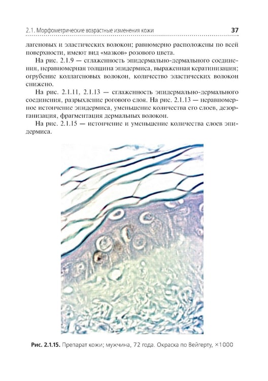Дополнительное изображение книги «Комплексная оценка возрастных изменений при судебно-медицинской идентификации личности: Учебное пособие»