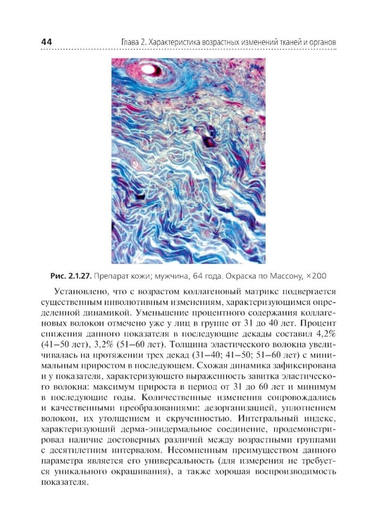 Дополнительное изображение книги «Комплексная оценка возрастных изменений при судебно-медицинской идентификации личности: Учебное пособие»