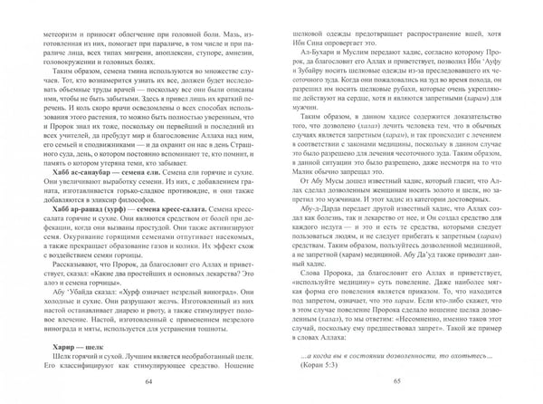Дополнительное изображение книги «Медицина Пророка»