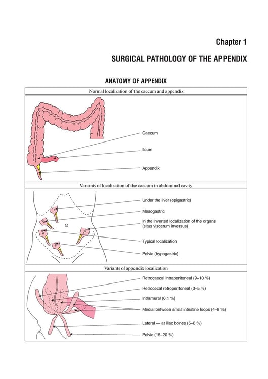 Дополнительное изображение книги «The Course of Faculty (Analitical) Surgery in Pictures, Tables and Schemes»
