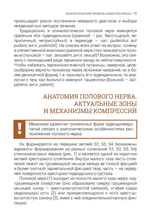 Дополнительное изображение книги «Туннельные пудендоневропатии. 3-е изд., перераб.и доп»