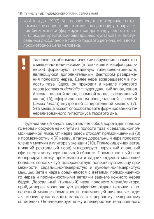 Дополнительное изображение книги «Туннельные пудендоневропатии. 3-е изд., перераб.и доп»