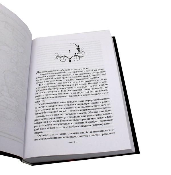 Дополнительное изображение книги «Королевство шипов и роз: роман»