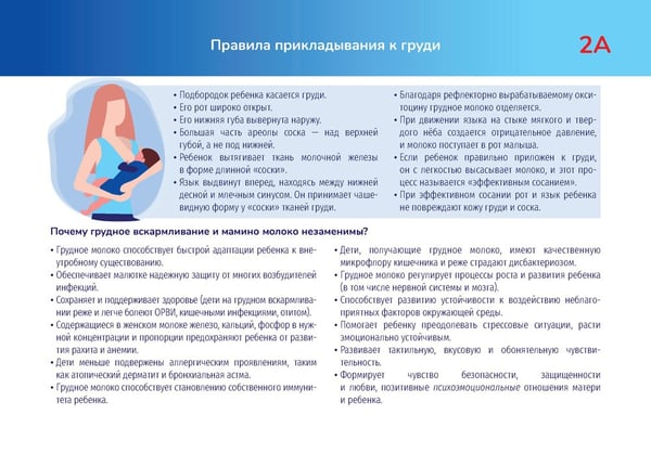 Дополнительное изображение книги «Здоровый ребенок "Тематические карточки" : руководство (32 карточки)»