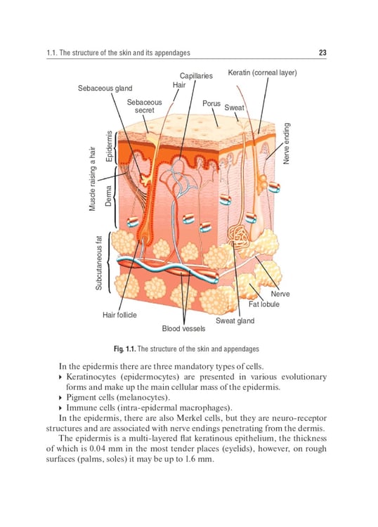 Дополнительное изображение книги «Dermatovenerology: textbook: на англ.яз»