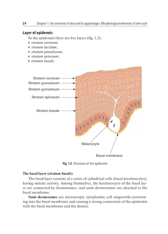 Дополнительное изображение книги «Dermatovenerology: textbook: на англ.яз»