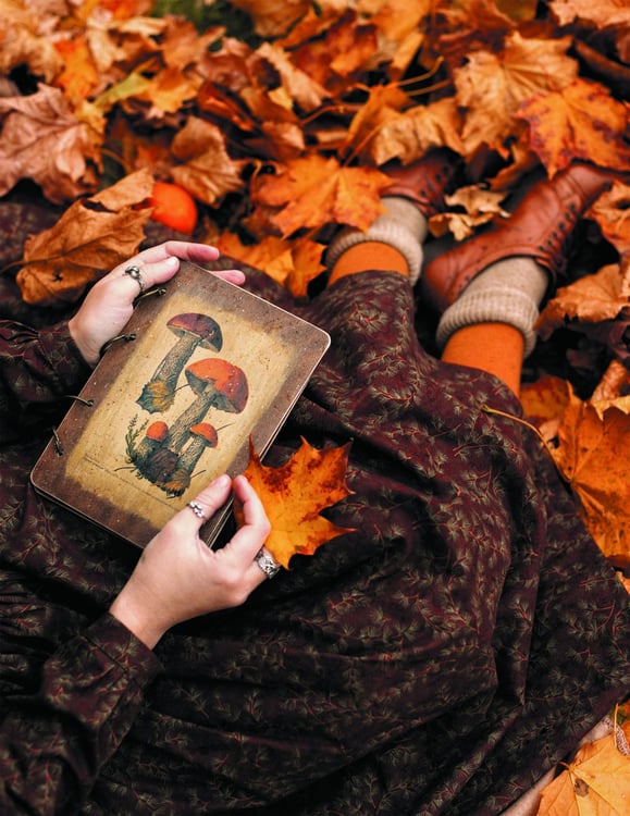 Дополнительное изображение книги «Женственна от природы. Книга гармонии в душе и в доме. Стильный декор, вкусная еда и много лесной красоты»