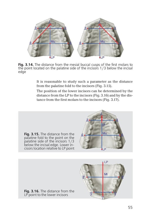Дополнительное изображение книги «Orthodontics. Modern Methods of Diagnosing Dental Abnormalities, Dentition and Occlusion: tutorial: на англ.яз»