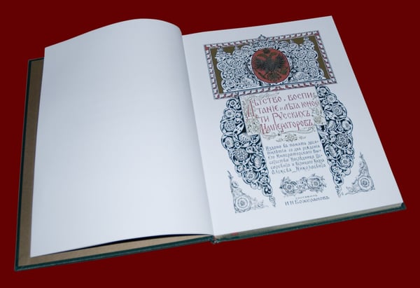 Дополнительное изображение книги «Детство, воспитание и лета юности русских императоров»
