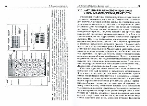 Дополнительное изображение книги «Атопический дерматит: Учебное пособие для врачей»