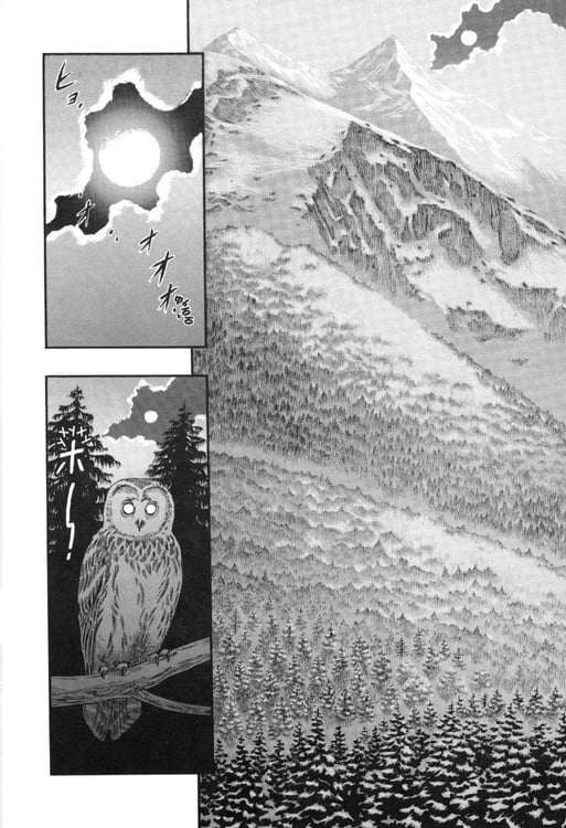 Дополнительное изображение книги «Берсерк. Т. 5: манга»