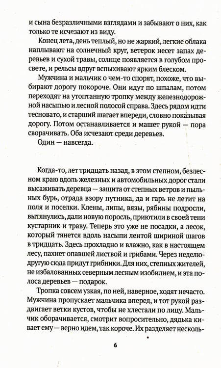 Дополнительное изображение книги «Товарищ Чикатило»