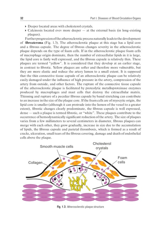 Дополнительное изображение книги «Internal Diseases: textbook. In 2 v. Vol. 1: на англ.языке. 4-е изд. перераб.»