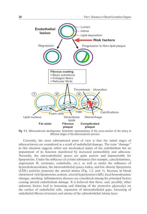 Дополнительное изображение книги «Internal Diseases: textbook. In 2 v. Vol. 1: на англ.языке. 4-е изд. перераб.»