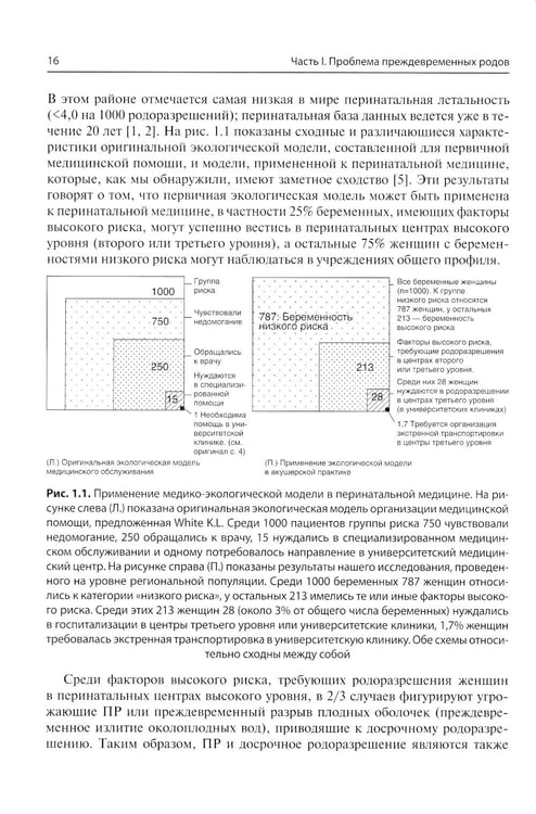 Дополнительное изображение книги «Преждевременные роды и досрочное родоразрешение»