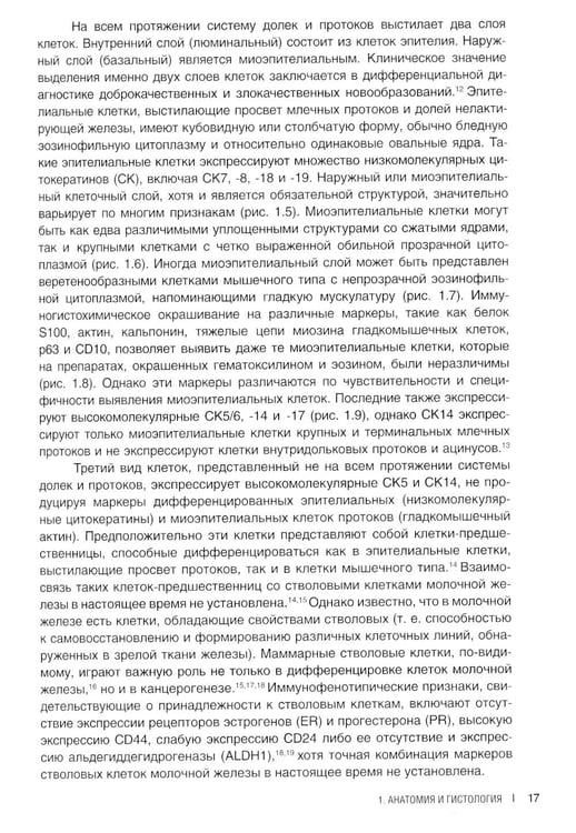 Дополнительное изображение книги «Интерпретация биопсий молочной железы»