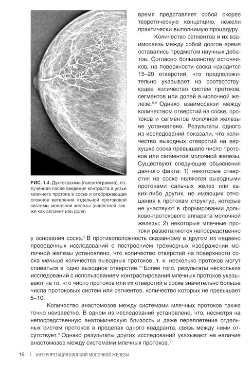 Дополнительное изображение книги «Интерпретация биопсий молочной железы»