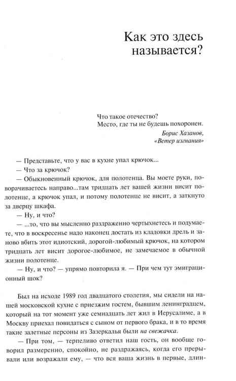 Дополнительное изображение книги «Эмиграция, тень у огня»