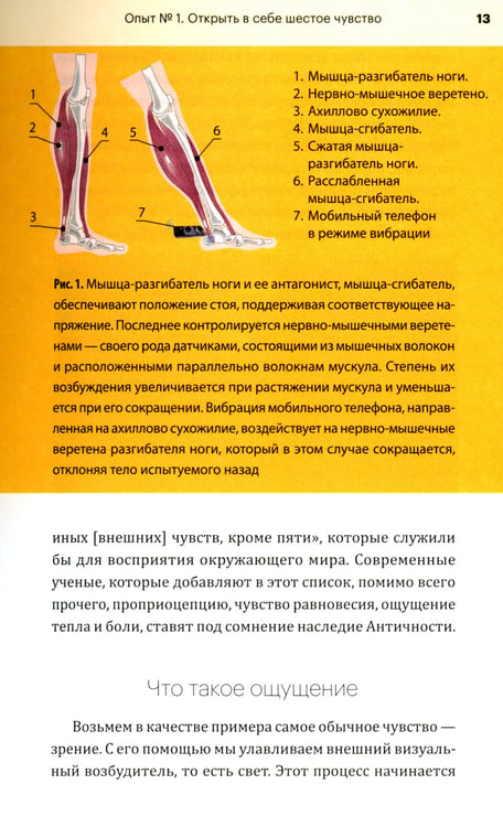 Дополнительное изображение книги «Огурец на электрическом стуле»
