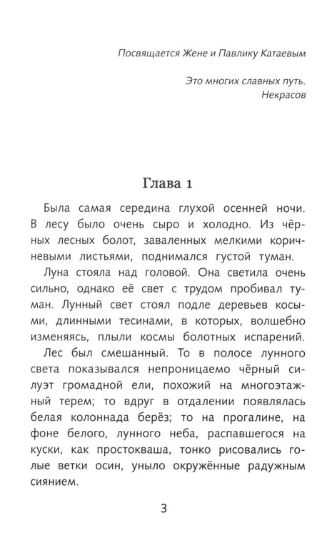 Дополнительное изображение книги «Сын полка: повесть»