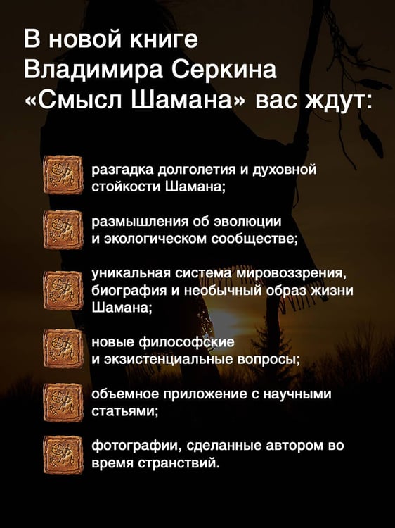 Дополнительное изображение книги «Смысл Шамана»