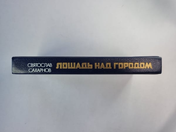Дополнительное изображение книги «Лошадь над городом»