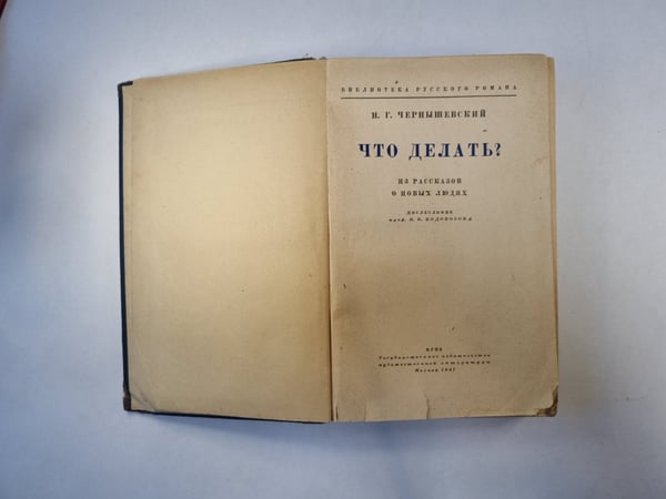 Дополнительное изображение книги «Что делать?»