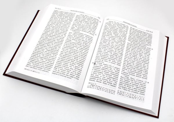 Дополнительное изображение книги «Библия. Книги Священного Писания Ветхого и Нового Завета»