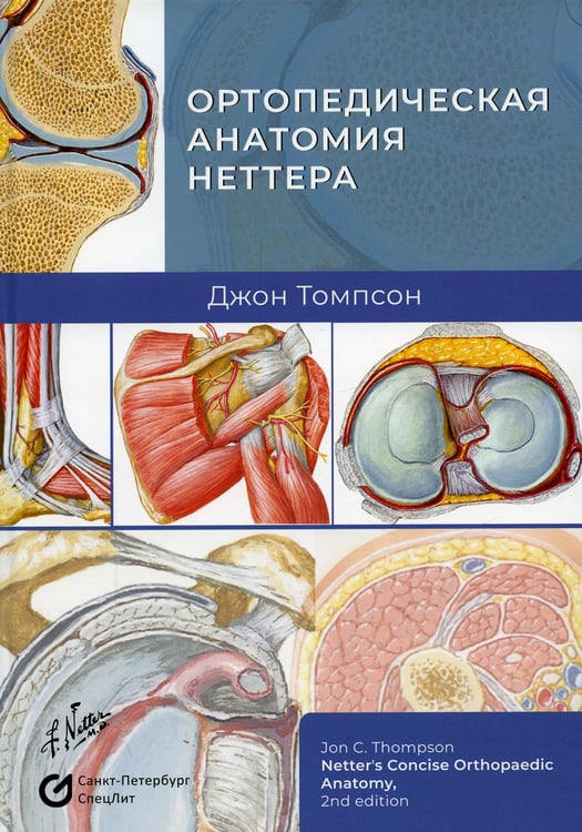 Дополнительное изображение книги «Ортопедическая анатомия Неттера»