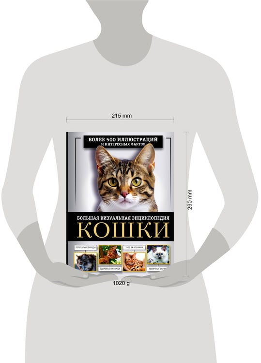 Дополнительное изображение книги «Кошки. Большая визуальная энциклопедия»