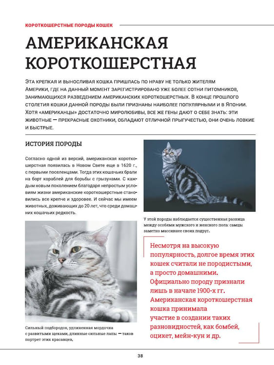 Дополнительное изображение книги «Кошки. Большая визуальная энциклопедия»