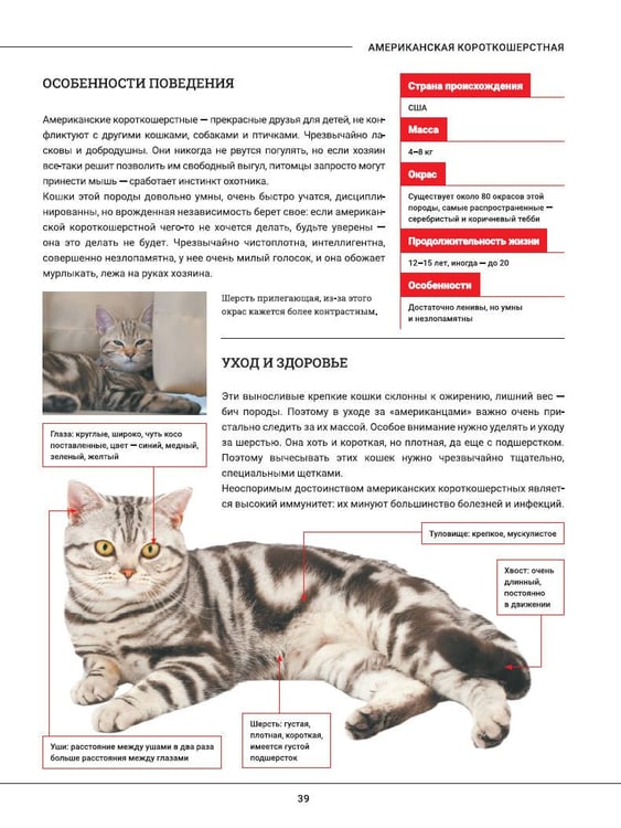 Дополнительное изображение книги «Кошки. Большая визуальная энциклопедия»