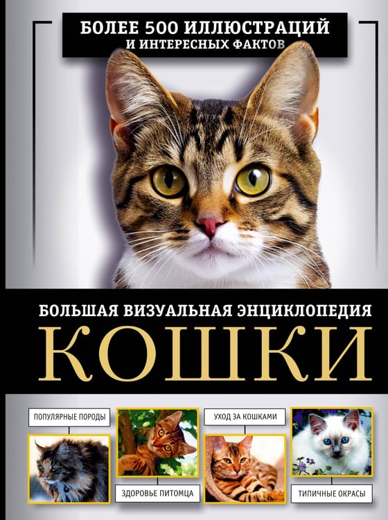 Обложка книги «Кошки. Большая визуальная энциклопедия» — Смирнов Дмитрий Сергеевич, ISBN 9785171719593