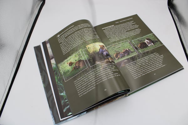 Дополнительное изображение книги «Дикие кошки мира»