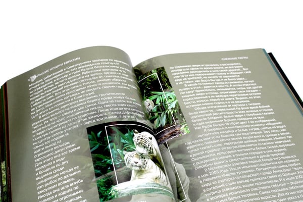 Дополнительное изображение книги «Дикие кошки мира»