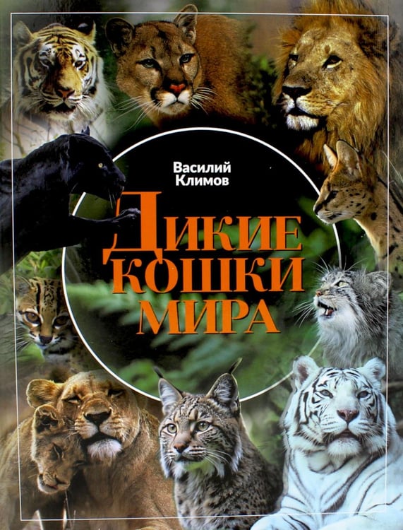 Обложка книги «Дикие кошки мира» — Климов Василий Владимирович, ISBN 9785907875067